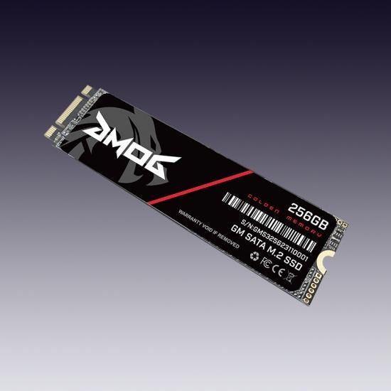 M.2 SATA SSD High-Speed Storage Drive
